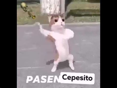 que significa cepesito